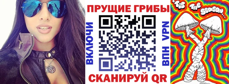 Псилоцибиновые грибы Psilocybe  блэк спрут зеркало  Фёдоровский 
